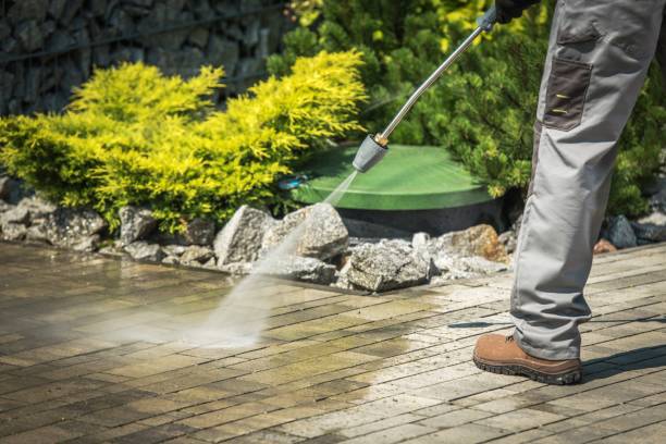 Best Dumpster Area Cleaning  in Williston Park, NY